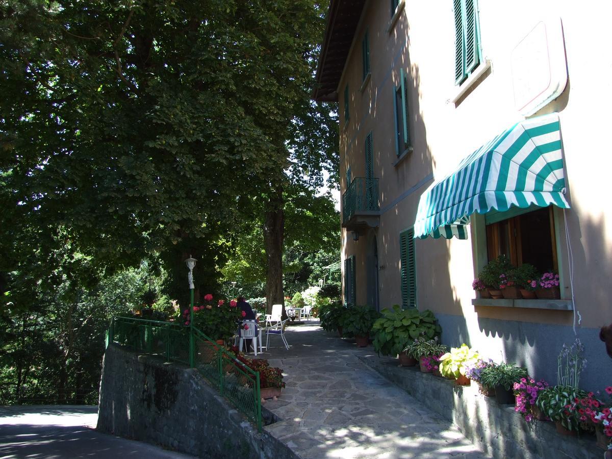 Hotel Villa Patrizia 卡提哥里诺 外观 照片