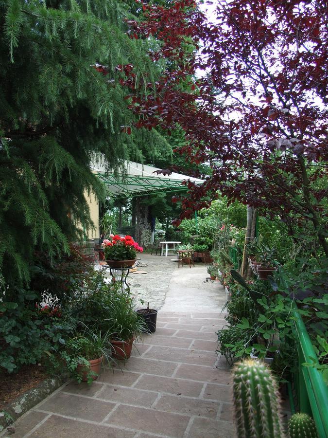 Hotel Villa Patrizia 卡提哥里诺 外观 照片